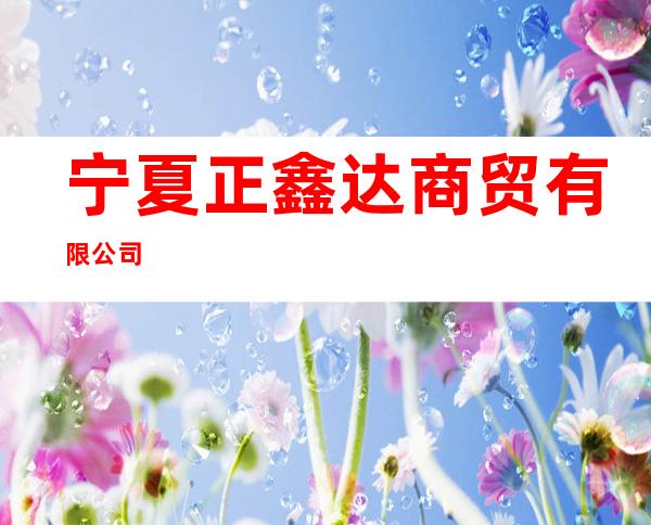宁夏正鑫达商贸有限公司