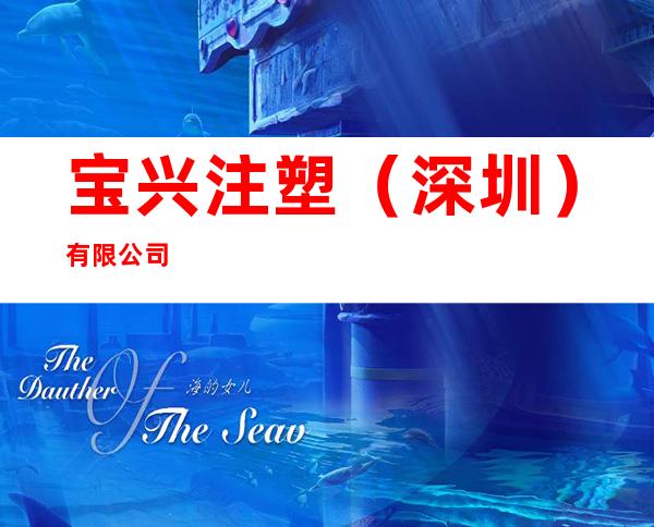 宝兴注塑(深圳)有限公司