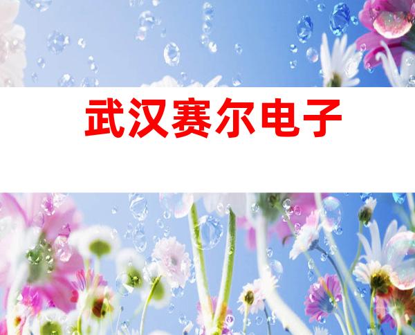 武汉赛尔电子