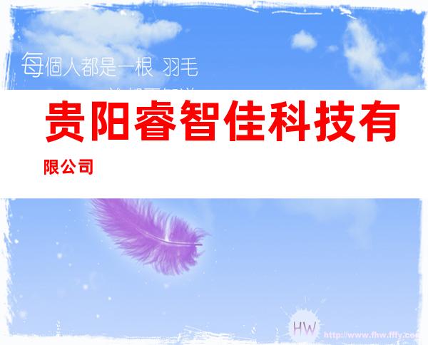 贵阳睿智佳科技有限公司
