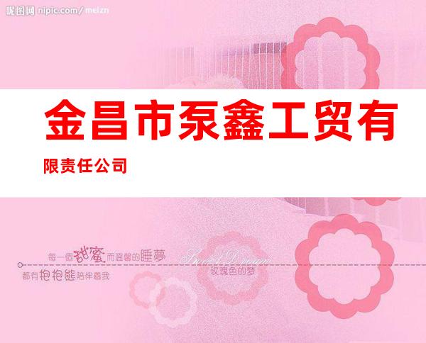 金昌市泵鑫工贸有限责任公司